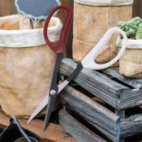 Tijeras De Jardín Para Bonsái Con Mango Largo Herramienta De Podar Ramas De Plantas Afiladas En Acero Inoxidable Para Jardinería - details 3