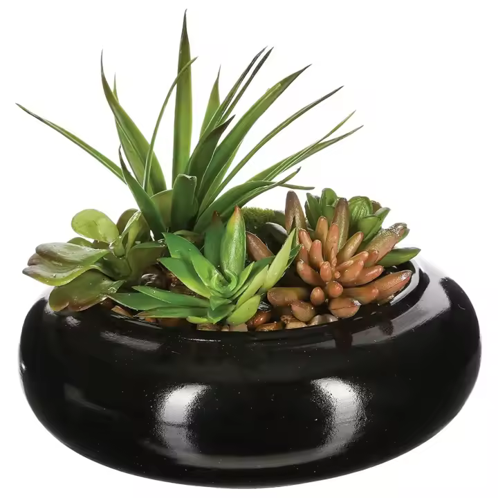 Atmosphera Composición de Centro con Surtido de Plantas y Florero de Cerámica - 1