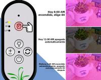 Lámpara De Cultivo De Plantas USB Con Luz De Spectro Completo LED 5V Dimmerable Con Timer Auto Encendido/Apagado Para Vegetales Frutas Flores Suculentas Iluminación Completa - details 6