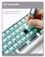Teclado Mecánico ZUOYA Gmk61 Kit De Retroiluminación RGB Bluetooth 2.4G Wireless 3-mod Hot-swappable Estructura De Ganchos Para Escritorio Portátil Tablet - details 2