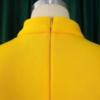 Vestido Elegante De Fiesta Para Mujer 2024 Con Cuello Con Lazo Manga Corta Cintura Alta A-Line Plisado Hasta El Tobillo Vestido De Cumpleaños - details 8