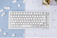 Keycaps De PBT 127 Teclas Tema Neón XDA Perfil ISO Para Teclado Mecánico RGB Compatible Con Cherry MX Switch Layout Inglés Y Coreano - details 9