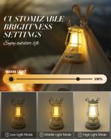 Lanterna De Camping Retro VN Recargable Y Dimmer LED Impermeable Y Batería Potenciada Luz De Camping Vintage Con Fuente De Alimentación DRY BATTERY - details 2