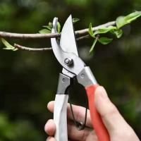 Tijeras De Podar De Acero Inoxidable Premium Para Bonsái/árboles Frutales/ Flores Corte De Rama Manual Plegable Y Duradero - details 5