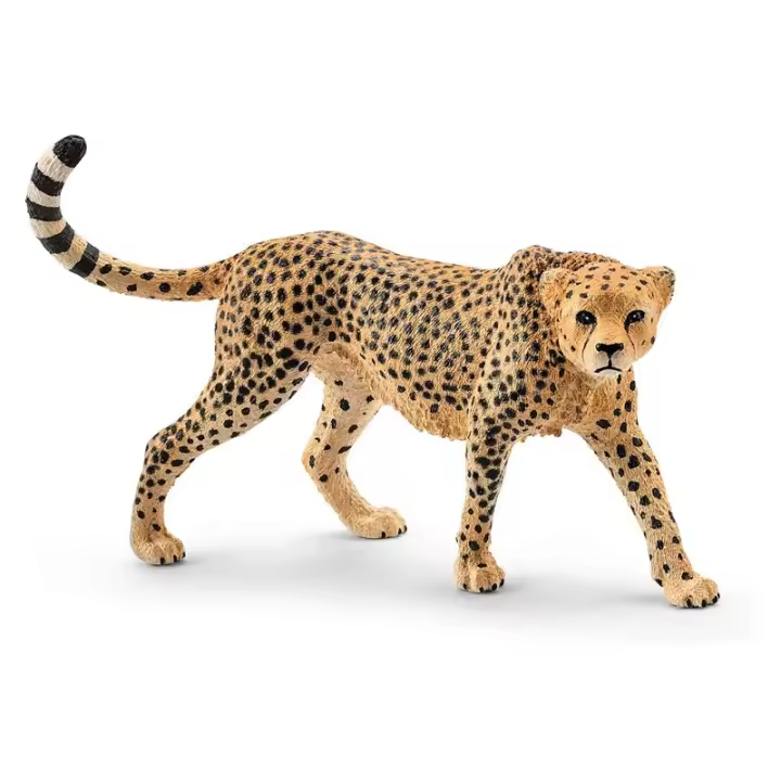 Figura Guepardo hembra Schleich Wild Life línea colección 14746 - 1