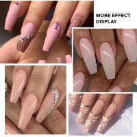 LULAA Pincel De Uñas Doble Final Para Arte De Uñas Y Extensión De Gel Adecuado Para Salón De Uñas Y DIY De Arte De Uñas - details 5