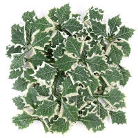 10pcs Berries De Holle Artificiales Con Hojas Para Decoración De Navidad Artesanías De Wreath Para Casa Adornos De Árbol De Navidad Regalo De Año Nuevo - details 13