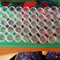 50pcs Botellas De Crema Mini Para Cosméticos Transparentes De 2.5g Jars De Nail Art Contenedores Pequeños Para Balms - details 1