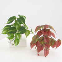 1pc Plantas Artificiales Pequeñas Con Macetas De Plástico Decoración De Escritorio Para Oficina Y Hogar Ambiente Interior Y Exterior - details 7