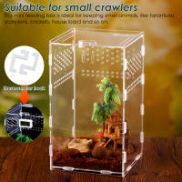 Caja De Alimentación Para Mascotas Arborescentes Acranged Transparente De Plástico Terrario De Enclosure Para Reptiles Y Invertebrados De Cría - details 2