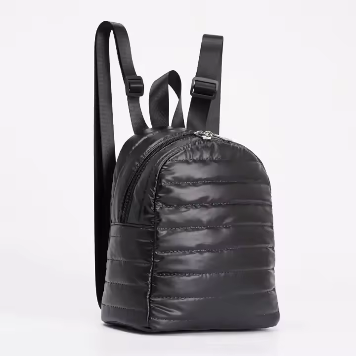 Mochila Mini Para Mujer Suave Acolchada De Plumas Simples Para Viajes Al Aire Libre Y Uso Diario Con Cierre De Cremallera Estilo Casual - 1