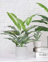 Pequeñas Plantas Artificiales En Maceta Para Decoración De Escritorio De Oficina Baño Hogar Estilo Bonsái Material Plástico - details 2
