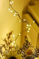 Luces De Navidad LED 1000 LED Cluster Para Decoración De Bodas Y Jardines Exterior E Interior 220V Cable Verde Decoración De Año Nuevo - details 2