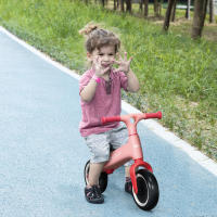 AIYAPLAY Bicicleta sin Pedales para Niños de 18-36 Meses Bicicleta de Equilibrio con Asiento Ajustable en Altura Carga 25 kg 67,5x32x44 cm Rosa - details 1