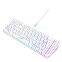 Teclado De Juego Con Iluminación RGB De 69 Teclas Diseño Compacto De 68% Teclado Conectado Por Cable Estándar Para Oficinistas Y Jugadores - details 15
