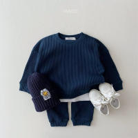 Conjunto De Ropa Para Bebé Niño Corea 2023 Conjunto De Dos Piezas Algodón Waffle Camiseta Sudadera + Pantalones Ajuste True Size - details 7