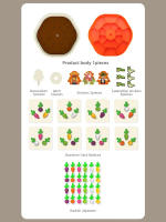 Juego Educativo De Memoria Para Bebés Raíz De Zanahoria Montessori Desarrollo De Habilidades Motoras Finas Juguetes Sensoriales Para Niños Regalo - details 10