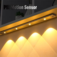 Lámpara LED Para Gabinete Con Sensor De Movimiento PIR Luz Nocturna Sin Cable Ultra-Fina Para Cocina Dormitorio Armario Recargable Por USB Tubo De Barra - details 0