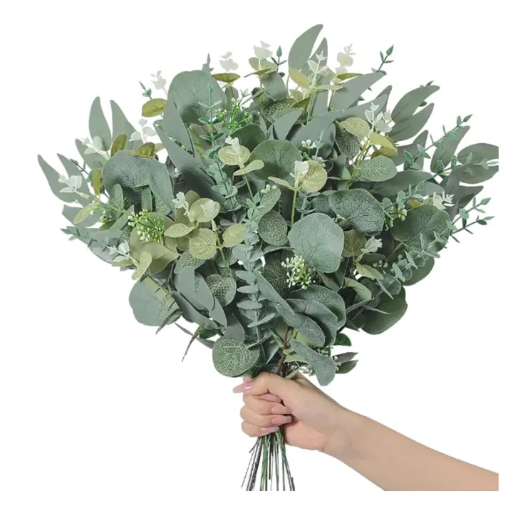 20pcs Hojas De Eucalipto Artificial Mezclado Con Dólares De Plata Para Arreglo Floral Decoración De Hogar Bodas DIY Bouquets - 1