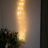 Luces De Cascada LED 600 Individuales Para Decoración De Habitación Y Navidad Luz De Fairy De Enchufe Adorno De Cortina De Navidad Luz De Ambiente Para Dormitorio - details 2