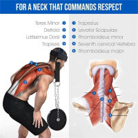 Almohadilla De Entrenamiento De Cuello Soporte De Peso Ajustable Correa De Fuerza Para Ejercitación De Músculos Fitness Powerlifting - details 2