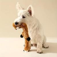 Juguete De Peluche Para Perros Sonido Almohadilla Molar Forma Animal Suministros De Juguetes Para Mascotas Material De Felpa - details 2