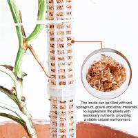 Soporte De Planta Para Escalada Jaula De Soporte Para Plantas Moss De Plástico Verde Accesorios Para Jardín Vínculo De Menta Para Interior - details 9