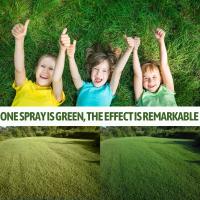 Colorante Vegetal Intensivo - Revitalizador de Césped con Efecto Inmediato - details 4