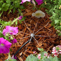 50Pcs Derrame Ajustable De 8 Agujeros Con Espinas Dispositivo De Riego Por Aspersión Para Jardín Y Estufa Del Invierno Unidad De Conexión De 4mm - details 10
