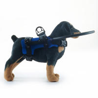 Arnés de Guía para Perro Ciego, Halo de Perro Ciego, Anillo anticolisión para mascotas para construir confianza, accesorios para Perros ciegos - details 3