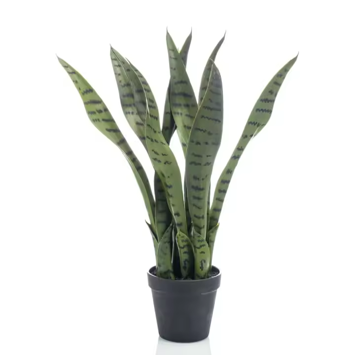Esmeralda Sansevieria artificial en macota 55 cm - 1