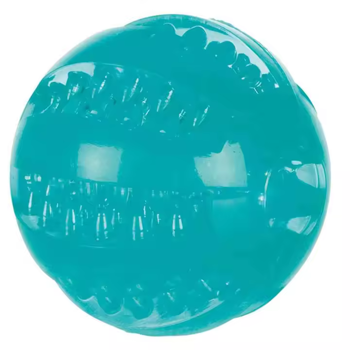 Trixie Pelota Termoplástico Menta Denta Fun para Perros  Juguete para Perros - 1