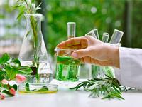 Extracto de Alholvas Soria Natural 50ml - Fortalece el Sistema Inmunológico | Multivitaminas - details 2