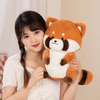 Nueva Peluche De 35cm De Raccoon Kawaii Suave Almohada De Animal Regalo De Cumpleaños O Navidad Para Niña Juguetes De Peluche - details 21