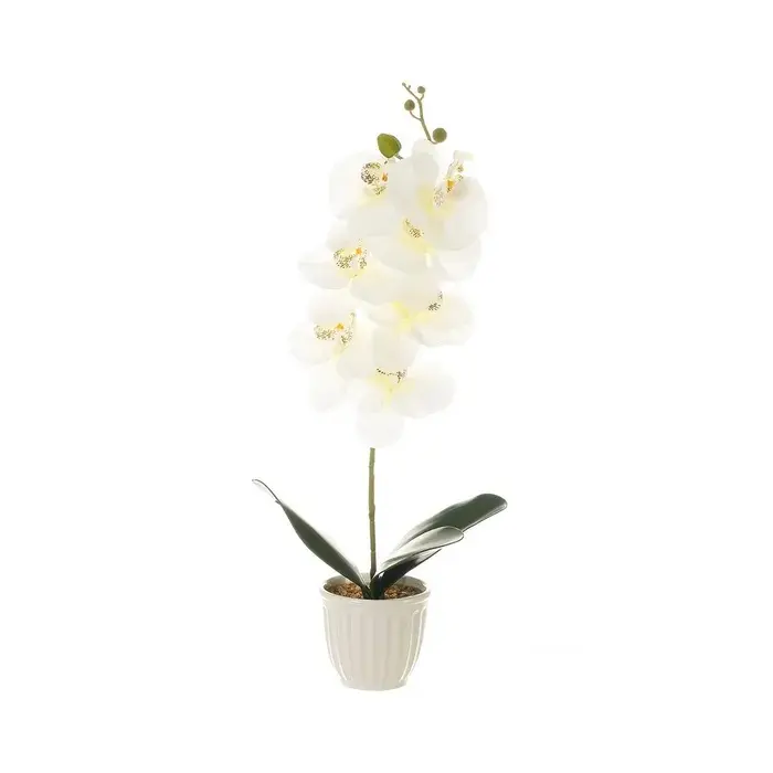 Factory Cuadros Cuadros Cuadros Cuadros Cuadros Cuadros - Planta Orquídea Poliéster Alta Calidad 22x12x58 Cm con Maceta Porcelana 11x11x10 Cm - 1