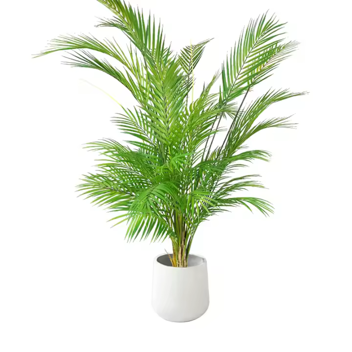 Gran Árbol De Palma Artificial 80-125cm Planta Falsa De Monstera Hojas De Pino Tropicales Para Decoración De Jardín Interior Y Exterior - 1