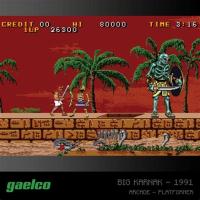 Cartucho Evercade Gaelco Arcade 2 - Nuevo precintado - PAL España - details 2