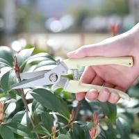 Tijeras De Acero Inoxidable Para Cortar Flores Y Ramas De Jardín Uso Doméstico Y Enraizamiento De Frutas Herramienta De Podar Para Árboles - details 5