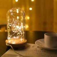 Luces LED USB Cadena De Luces De Cobre Y Plata Guirnalda De Luz Impermeable Para Decoración De Navidad Y Bodas Al Aire Libre - details 9