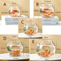 Pequeño Acuario De Vidrio Transparente Para Pequeños Peces Y Reptiles Tanque De Peces Con Buena Visibilidad Estilo De Cuenco - details 2