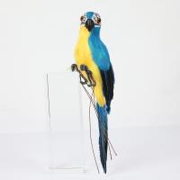 Decoración Creativa Y Artesanal De Papagayo Animal Para Jardín Miniatura Pajaro De Tela Con Plumas Para Adorno Del Césped Tamaño 25/35cm - details 16