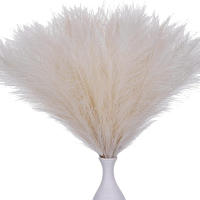 10PCS Pampas Artificial Para Decoración De Casamiento Y Hogar Accesorios De Flores Para Vaso Y Decoración De Habitación Estilo De Planta Silken - details 2