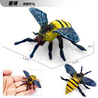 Juego De 12 Figuras De Animales Miniatura Insectos Y Reptiles Educativo Para Niños Juguetes De Halloween Escarabajo Mantis Cicada Lurio - details 7