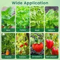 50/100Pcs Esponjas De Crecimiento De Semillas Reemplazo Para Raíces Esponjas De Cultivo Hidroponico Para Plantas Germinantes En Jardín - details 6
