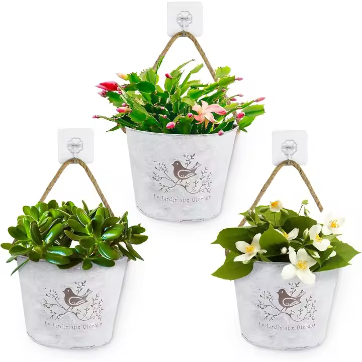3 Macetas Pared Maceteros Colgantes de Hierro Jardineras Vintages para Colgar Decoración Interior Exterior Balcón Jardín Patio Pared Terraza para Flores y Plantas - 1
