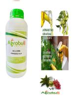 Jabón Potásico Agrobull® 5 Lit | Fungicida E Insecticida para Jardín y Agricultura Ecológica - details 1