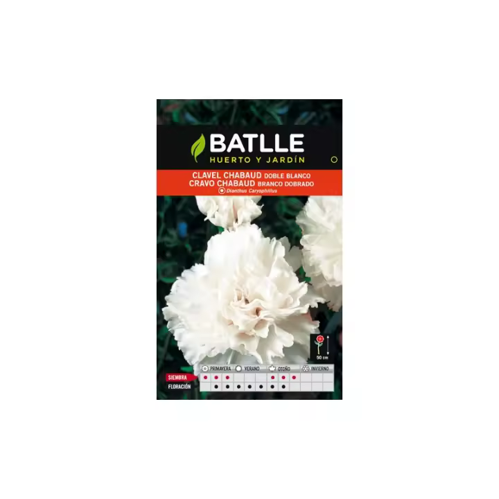 Batlle - CLAVEL CHABAUD BLANCO SOBRE - 1