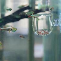 Vaso De Cristal Para Acuario Con Aspiradores Para Cultivar Semillas De Plantas Acuáticas Y Coral Adorno Para Tanque De Peces - details 2
