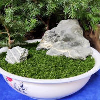 Plantas Artificiales Verdes Alrededor De 20g Poliéster Moqueta Hierba Para Decoración De Hogar Sala De Estar Jardín Mini Paisaje Flores Falsas DIY Artesanía - details 7
