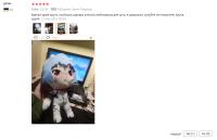 Figura De Anime Genshin Impact Muñeco De Peluche XIAO Zhongli Hu Tao Tartaglia Rei Suave De 22cm Regalo Para Fans Unisex - details 0